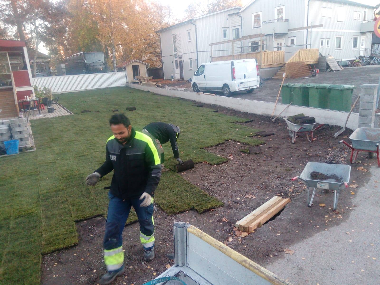Referensjobb "Vi anlägger en gräsmatta" utfört av Jordbro Miljö & Trädgård AB