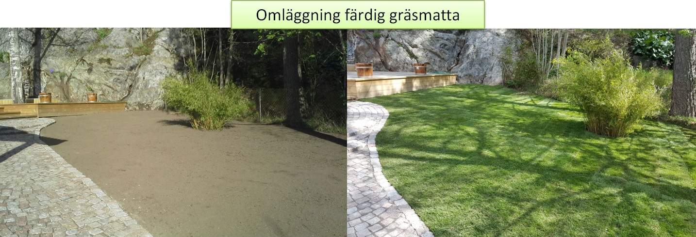 Referensjobb "Omläggning färdig gräsmatta- Tyresö" utfört av Gröna Bussen AB